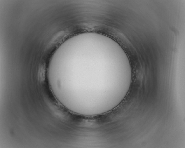 X0000113950694200910091609