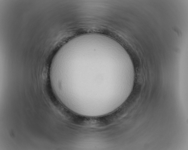 X0000113950695200910091609