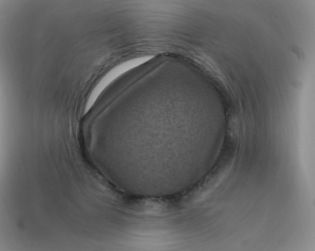 X0000113950697200910091609