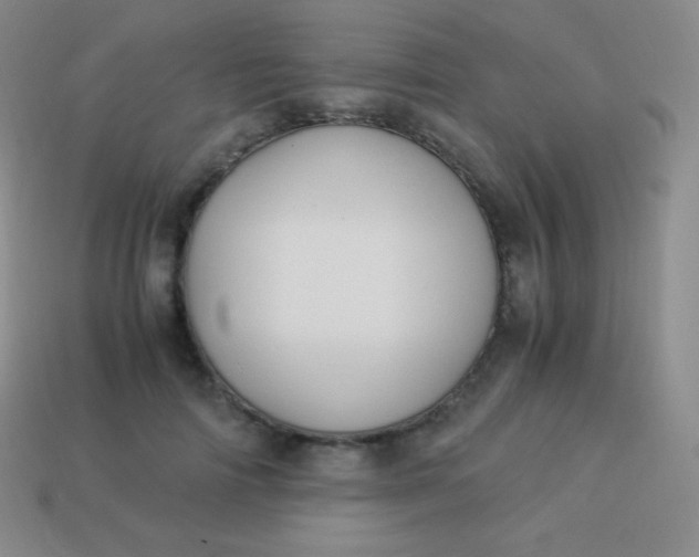 X0000113950698200910091609