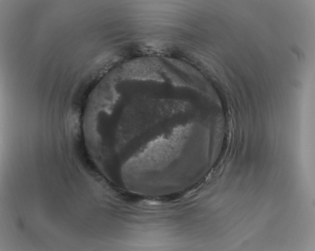 X0000113950699200910091609