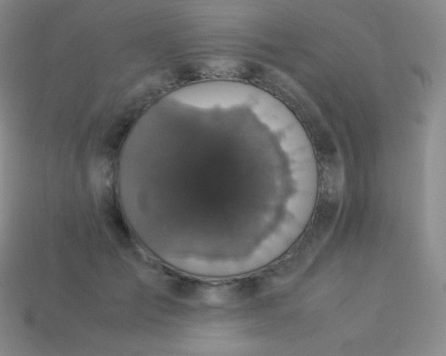 X0000113950701200910091609