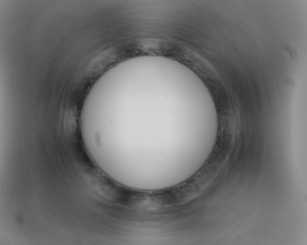 X0000113950702200910091609