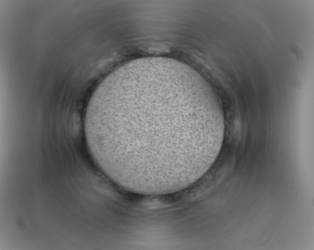 X0000113950704200910091609