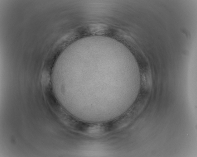 X0000113950705200910091609