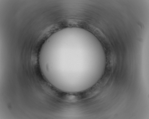 X0000113950706200910091609