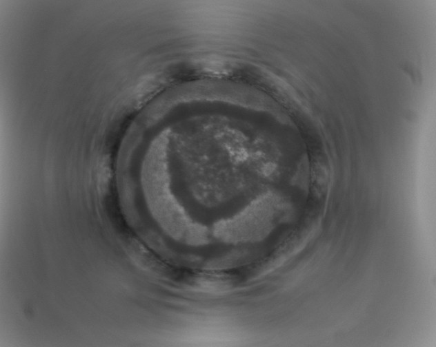 X0000113950707200910091609