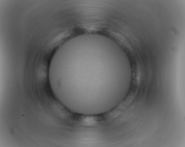 X0000113950710200910091609