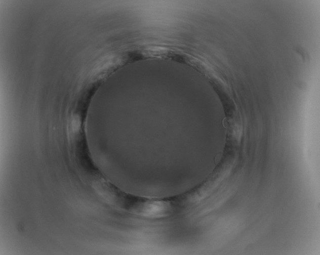 X0000113950711200910091609