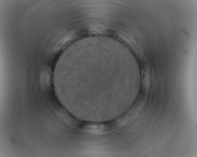 X0000113950712200910091609