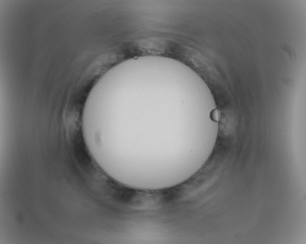 X0000113950713200910091609