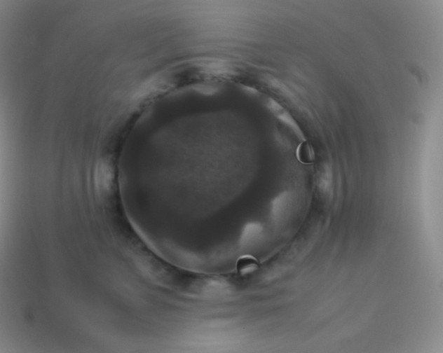 X0000113950715200910091609