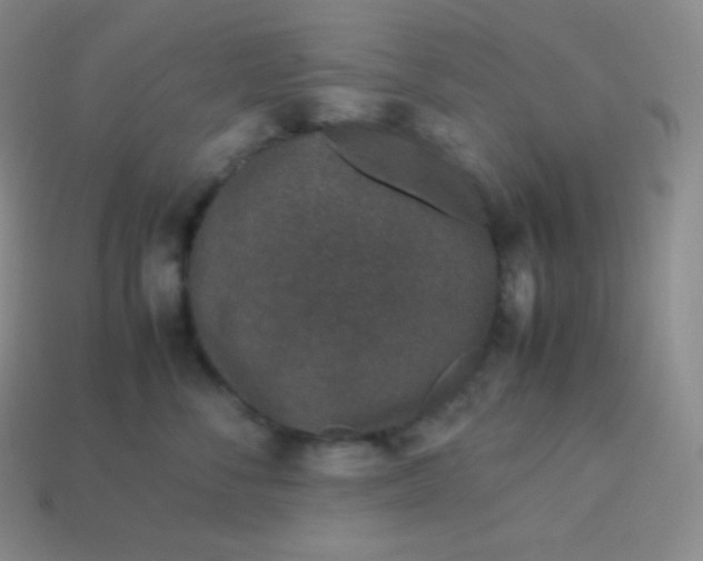 X0000113950716200910091609