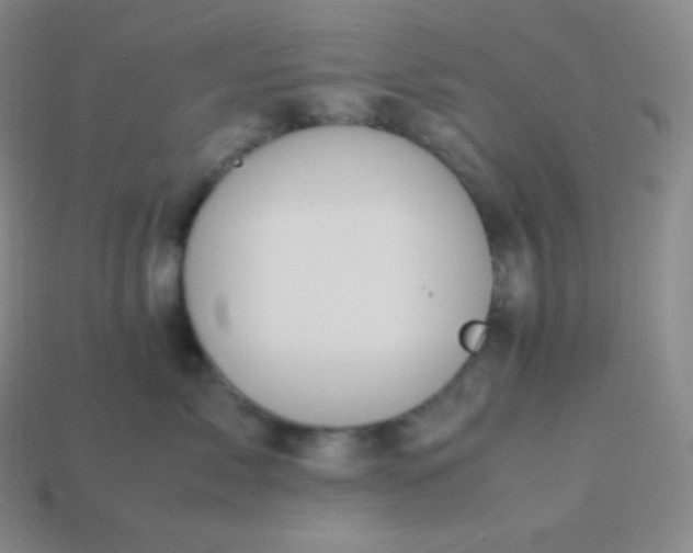 X0000113950717200910091609