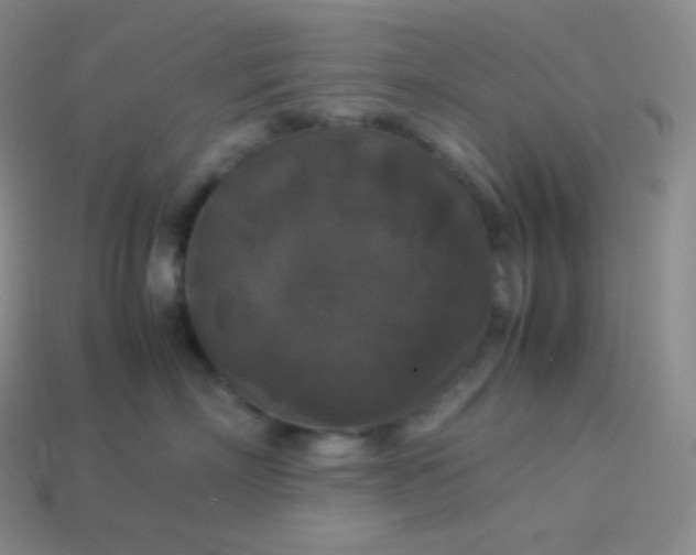 X0000113950718200910091609