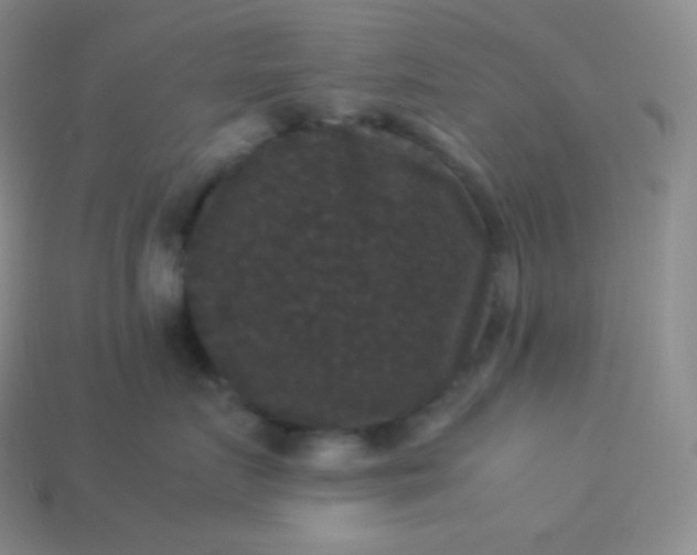 X0000113950719200910091609