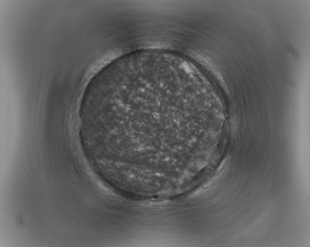 X0000113950721200910091608