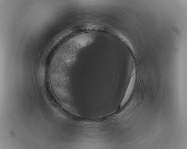 X0000113950722200910091608