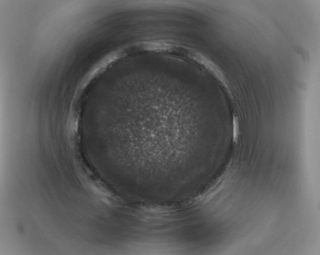 X0000113950723200910091608
