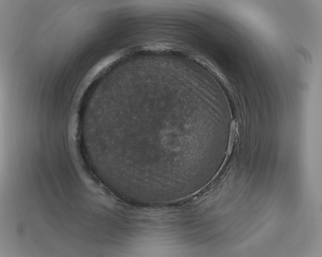 X0000113950724200910091608