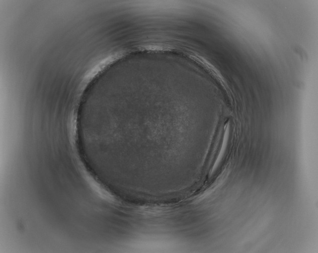 X0000113950725200910091608