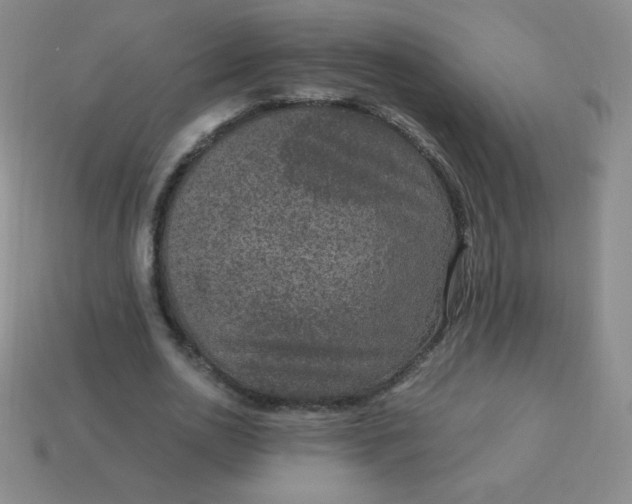 X0000113950726200910091608