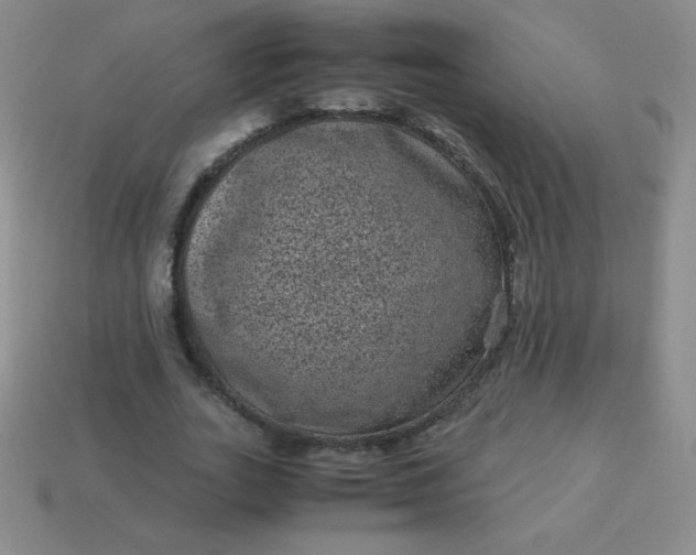 X0000113950727200910091608