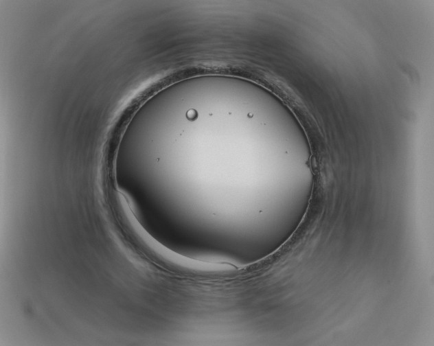X0000113950728200910091608