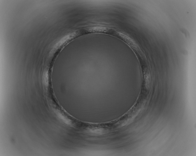 X0000113950729200910091608
