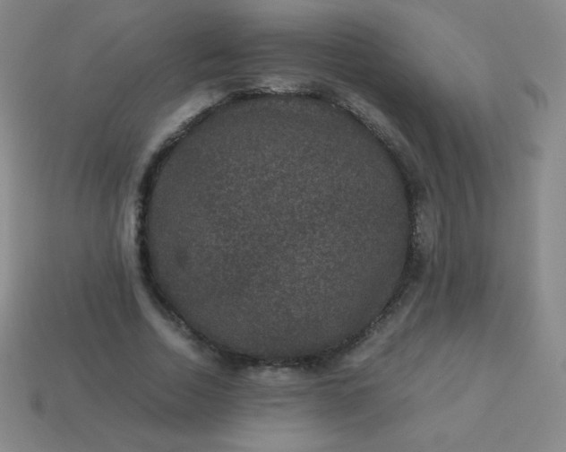 X0000113950730200910091608