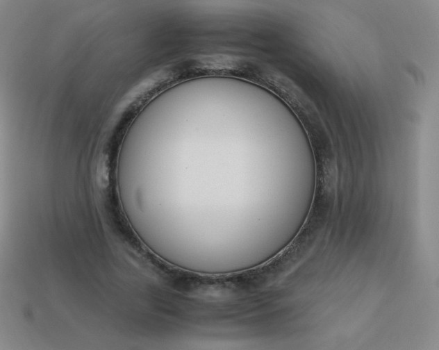 X0000113950731200910091608