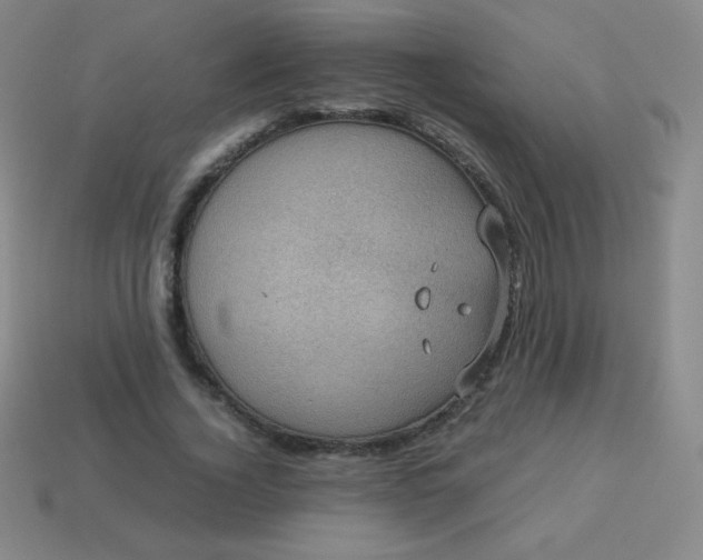 X0000113950732200910091608