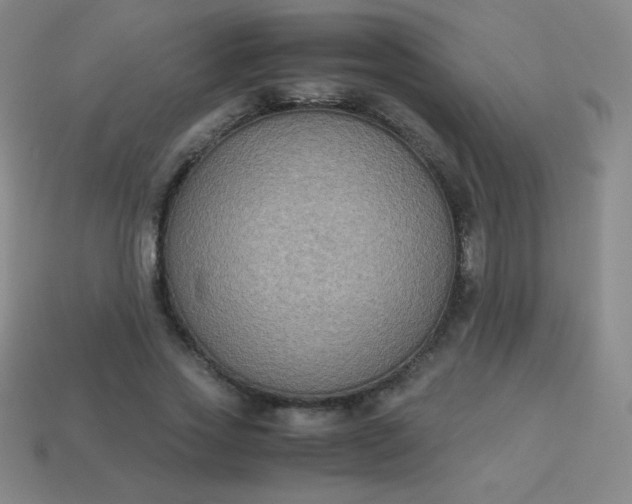 X0000113950733200910091608
