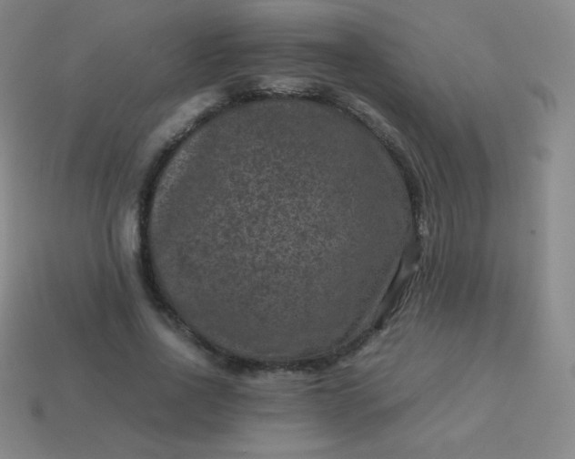 X0000113950734200910091608