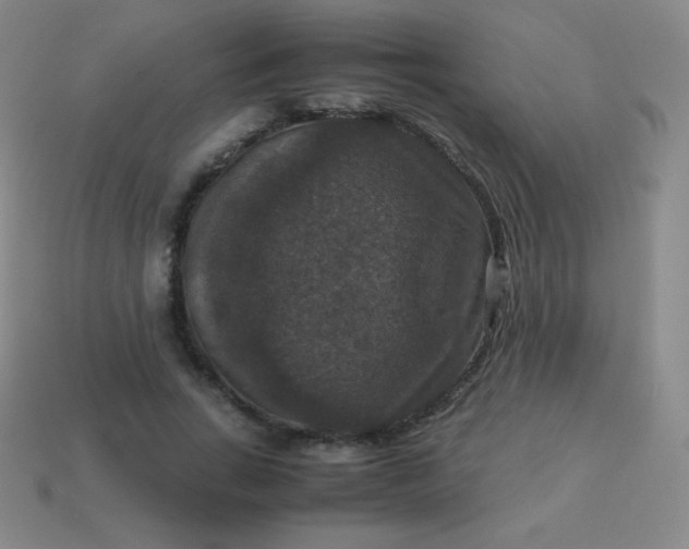 X0000113950735200910091608