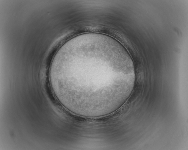 X0000113950736200910091608