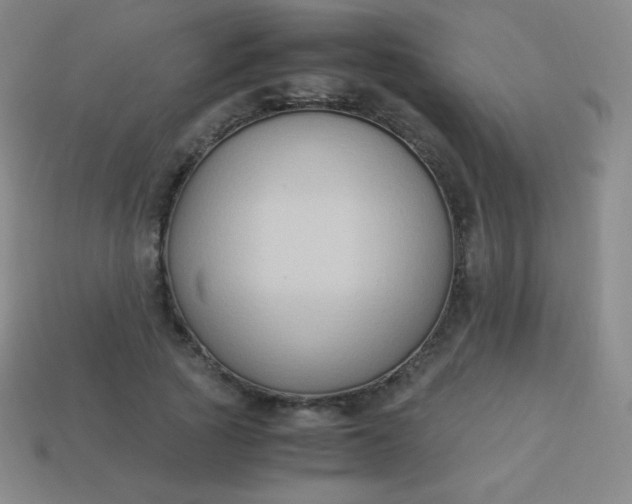 X0000113950737200910091608