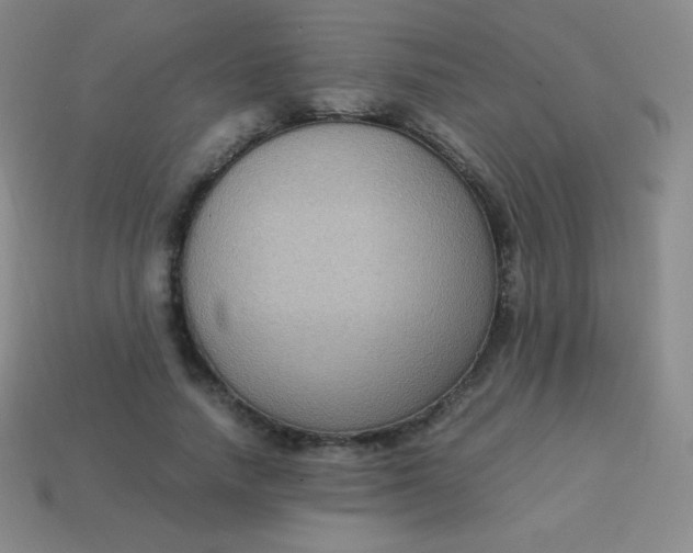 X0000113950738200910091608