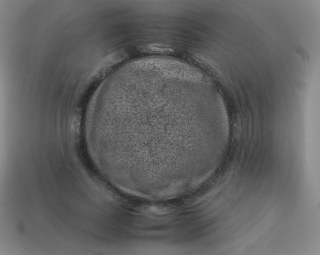 X0000113950739200910091608