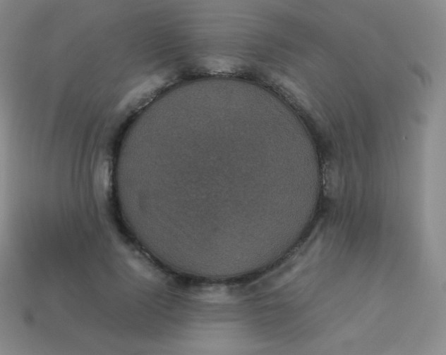 X0000113950740200910091608
