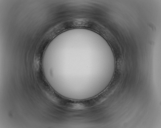 X0000113950741200910091608