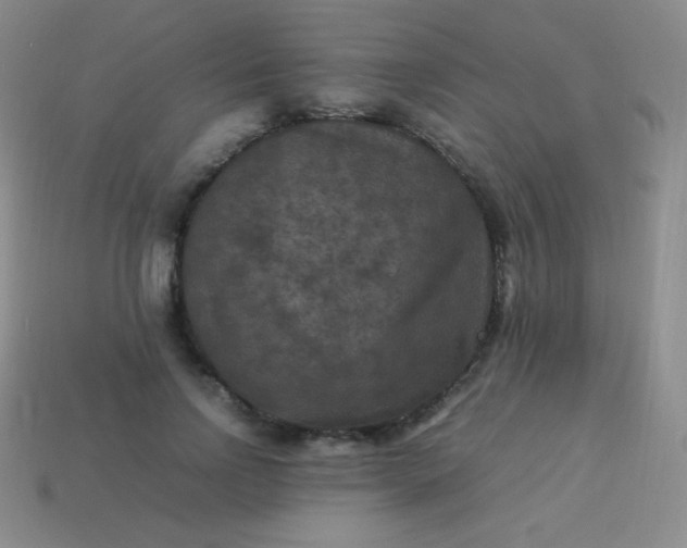 X0000113950742200910091608