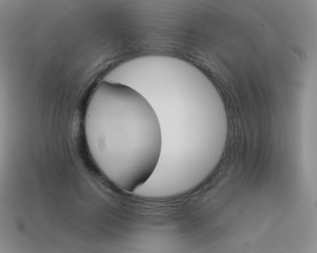 X0000113950744200910091608