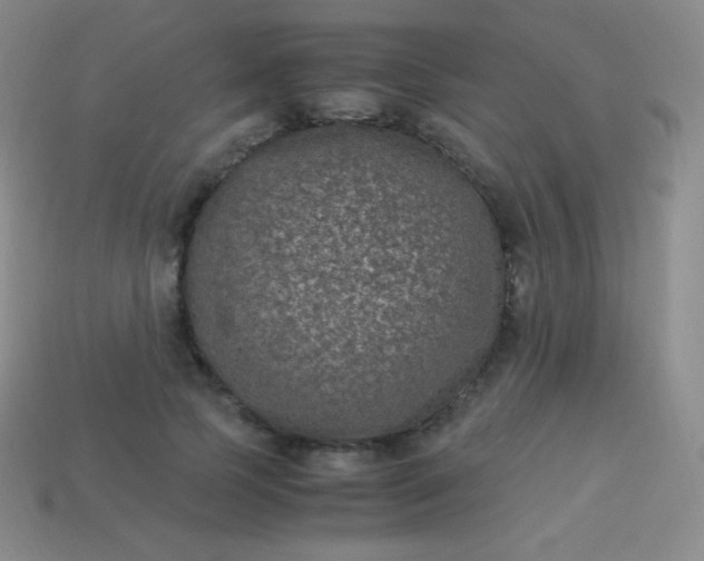X0000113950745200910091608