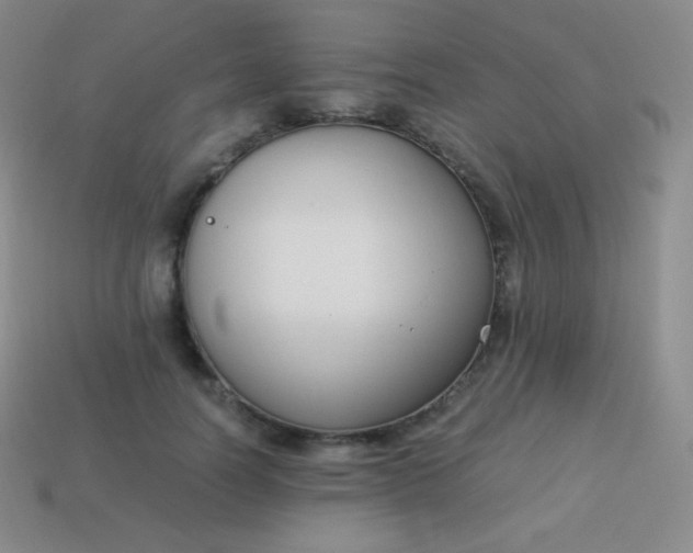 X0000113950746200910091608