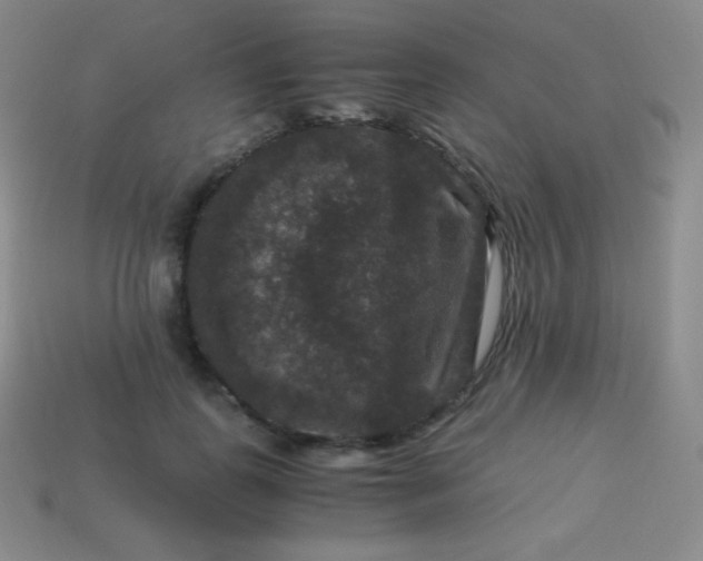 X0000113950747200910091608
