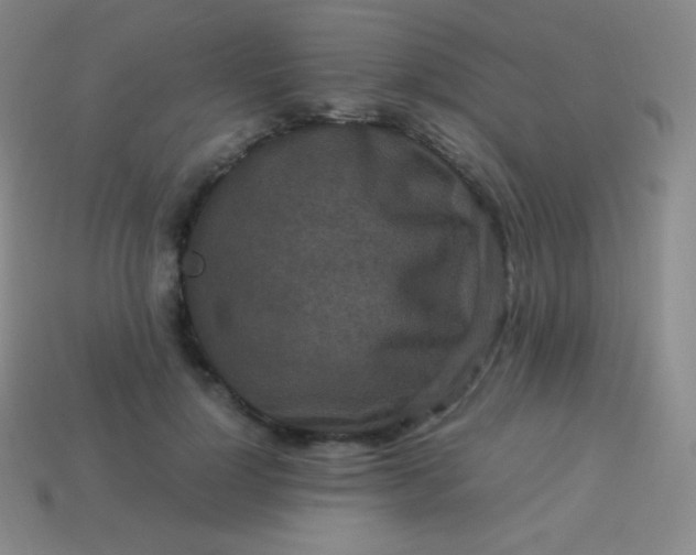 X0000113950748200910091608