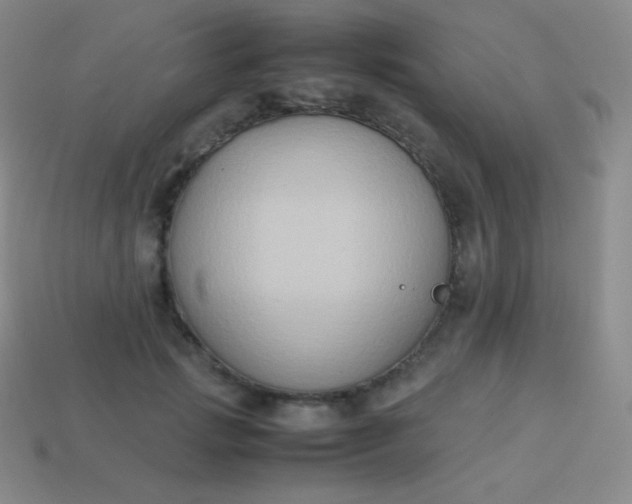 X0000113950749200910091608
