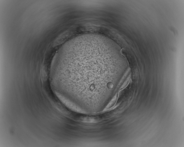X0000113950751200910091608