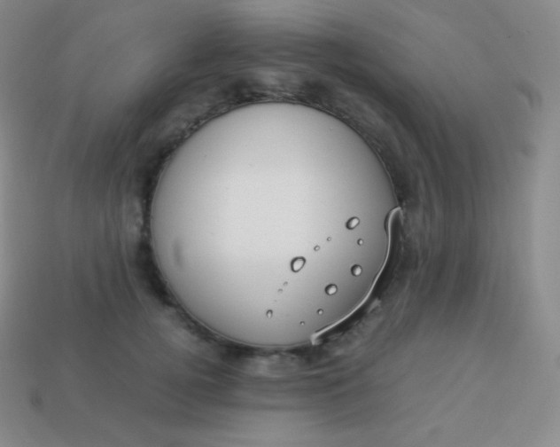 X0000113950752200910091608